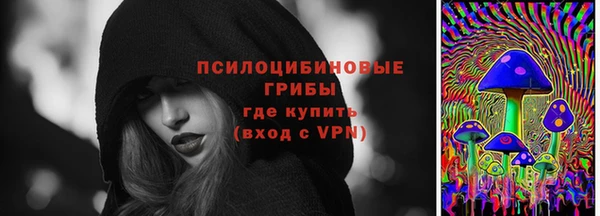 прущая мука Бородино