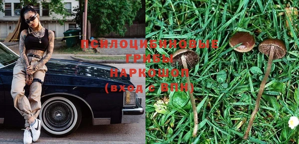прущий лед Бронницы